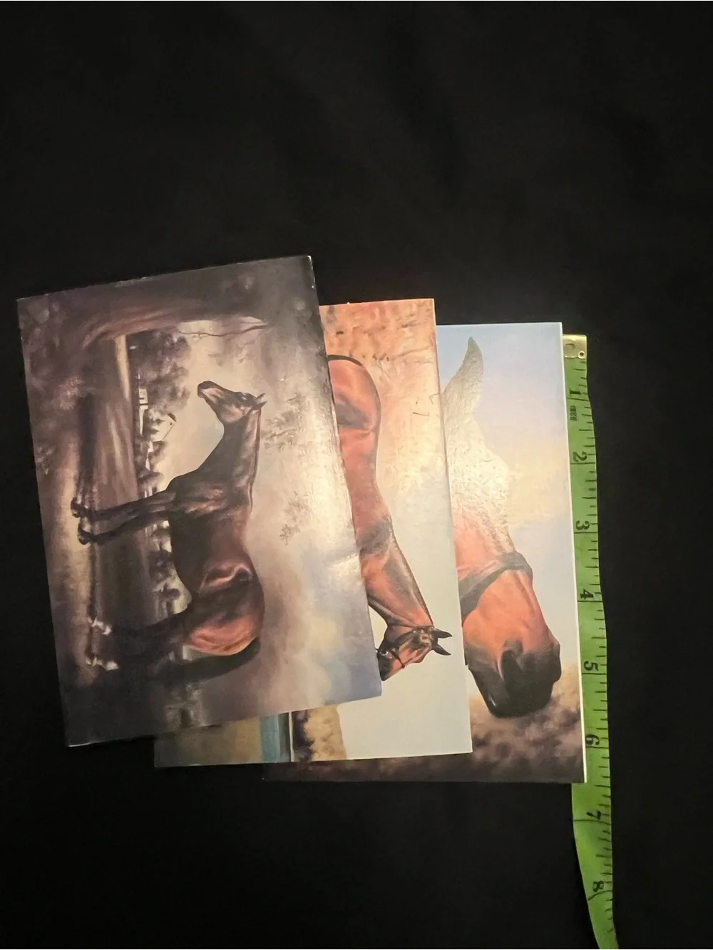 Equestrian Greeting Card Bundle